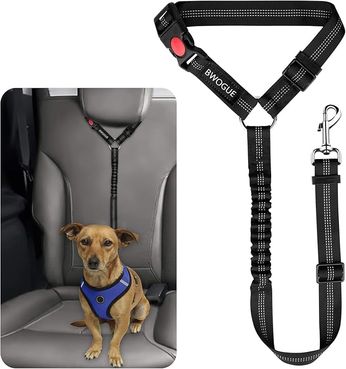 Adjustable Dog Collars
