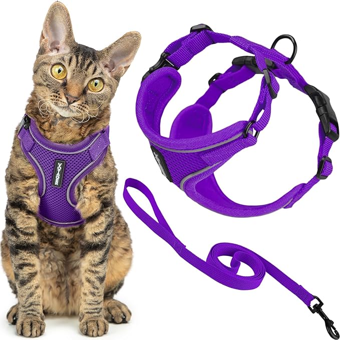 Adjustable Dog Collars