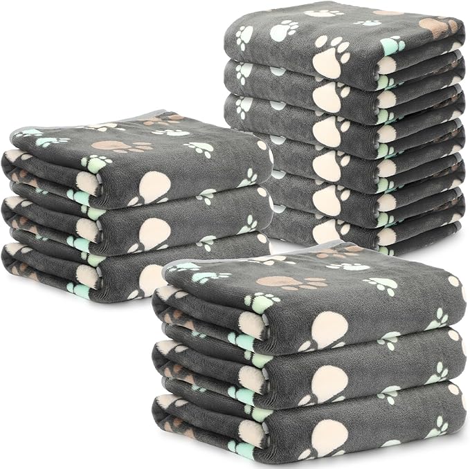 Dog Beds & Furniture
