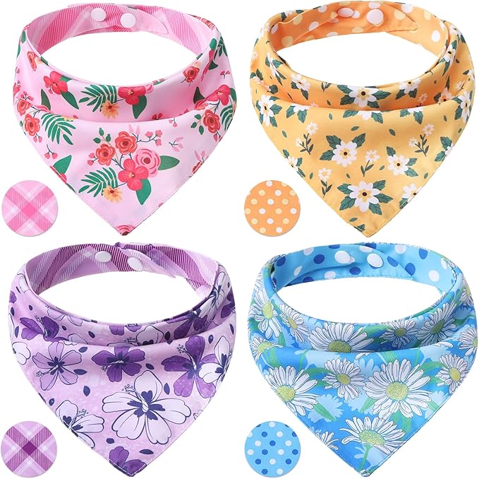 Dog Apparel & Accessories