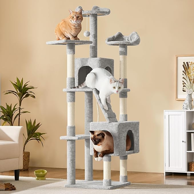 Dog Beds & Furniture