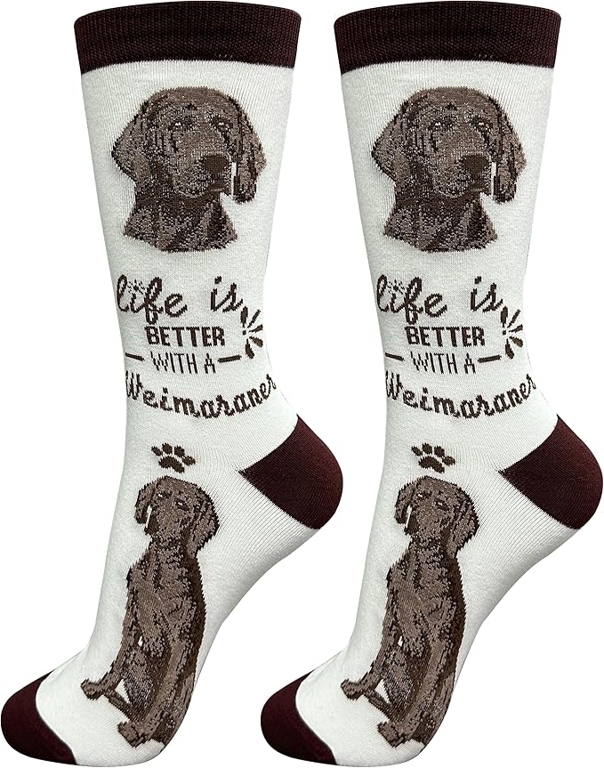 Novelty Dog Collars & More