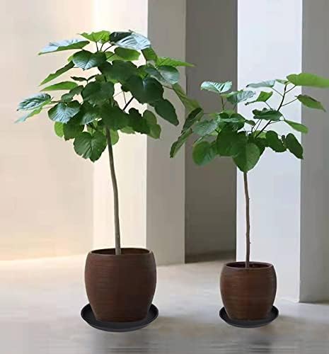 4 Pack of 16 inch Plant Saucer, Heavy Duty Plastic Plant Tray - Image 4