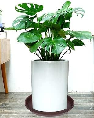 6 Pack of 7 inch Plant Saucer, Heavy Duty Plastic Plant Water Tray 7 inch Round - Image 4