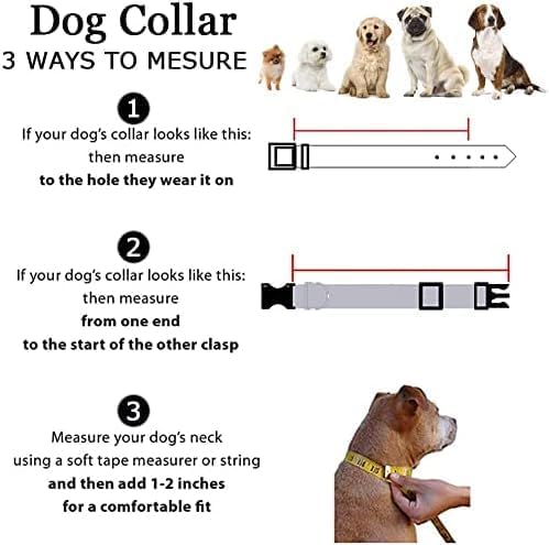 Roses&Poetry Reflective Dog Collar - Image 7