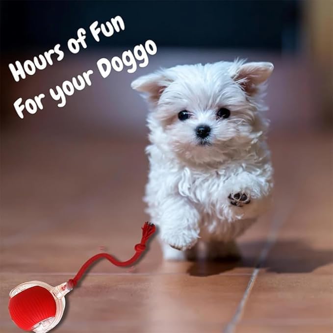 2 Packs New Electric Dog Ball Toy - Image 2