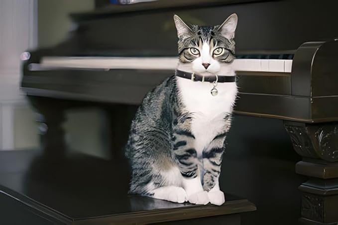 Pink XXS Cat Collar with Bell, Soft Pu Leather Puppy Collars Adjustable Buckle - Image 3