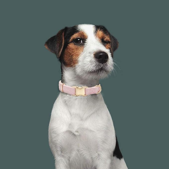 Soft Cotton Hemp Dog Collar - Image 5