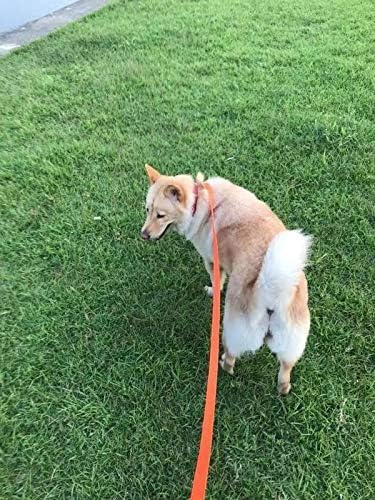 AMAGOOD Dog/Puppy Obedience Recall Training Agility Lead-15 ft 20 ft 30 ft 50 - Image 3