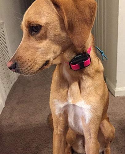 Sparky Pet Co 3/4" E Collar Easy Fit Surefit Replacement Electronic Training - Image 2