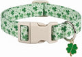 St. Patrick's Day Dog Collar, Cute Dog Collar by Britwicfr