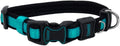 Coastal Pet - Coastal - Inspire Enhanced Core - Adjustable Collar by CoastalPet