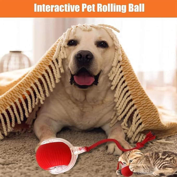 2025 New Electric Dog Ball Toy, 360° Smart Automatic Interactive Rolling Ball - Image 2