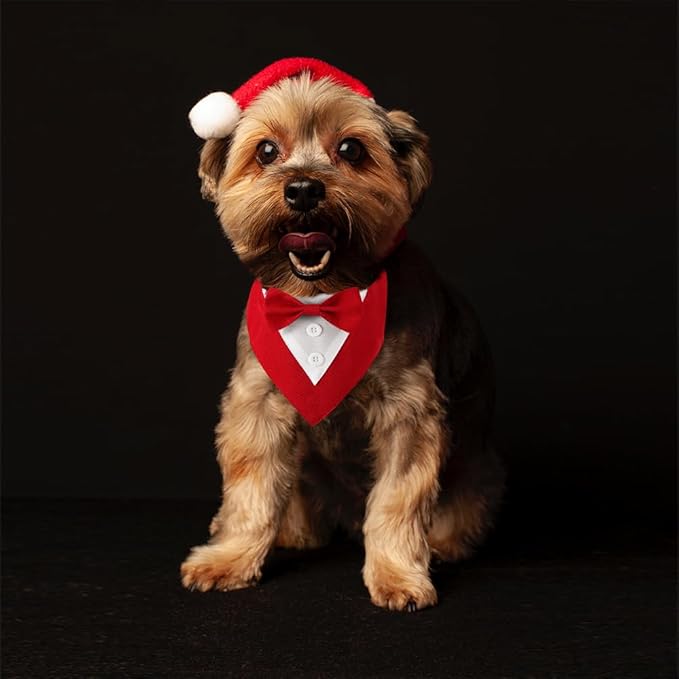 Dog Tuxedo, Formal Dog Wedding Bandana Adjustable Pet Collar - Image 6