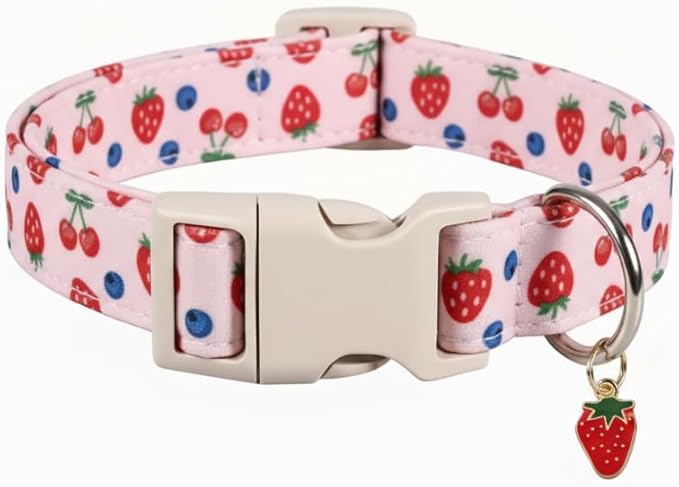 Small Dog Collar, Cute Dog Collar by Britwicfr