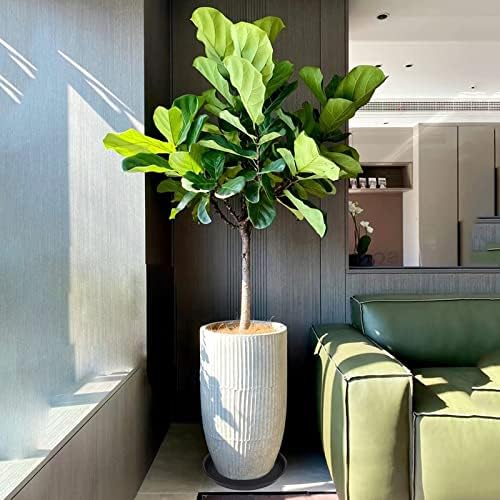2 Pack of 14 inch Plant Saucer, Heavy Duty Round Plant Trays - Image 2