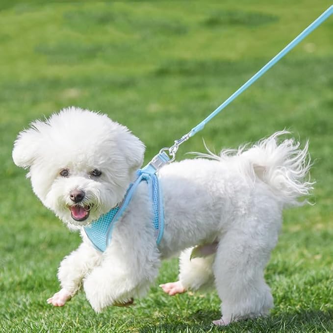 AIITLE Step in Dog Harness and Leash Set - Image 4