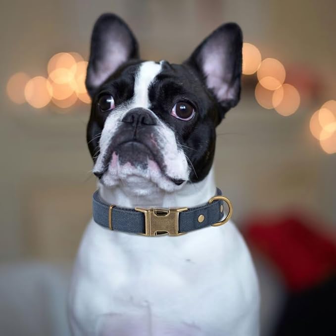 PET ARTIST Dog Collar for Large Dogs, Soft Padded Premium Nylon Dog Collar - Image 2