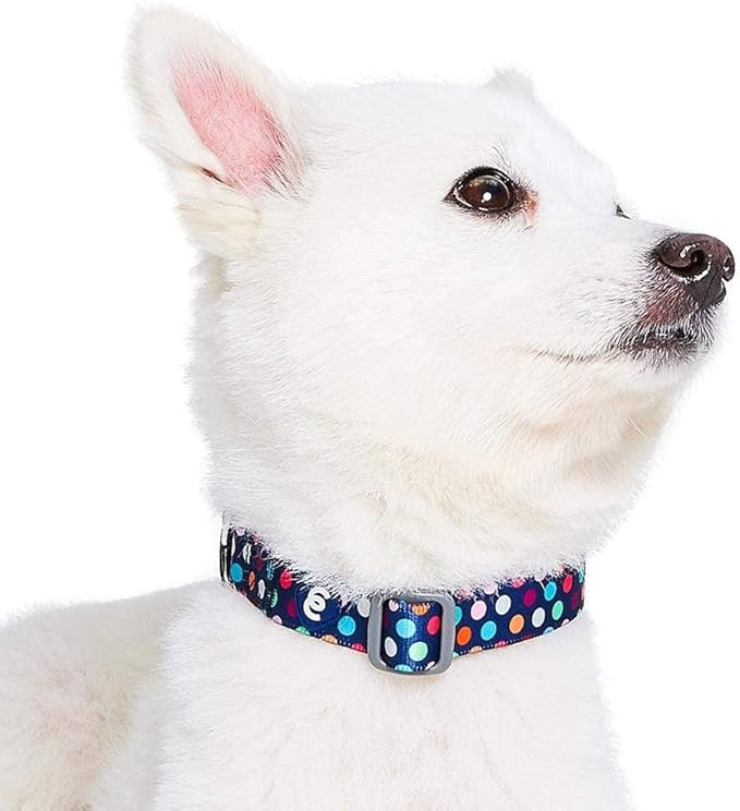 Blueberry Pet Essentials Rainbow Polka Dots Adjustable Dog Collar, Neck 12"-16" - Image 3