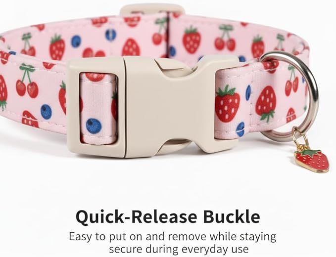 Pink Dog Collar, Girl Dog Collar - Image 3