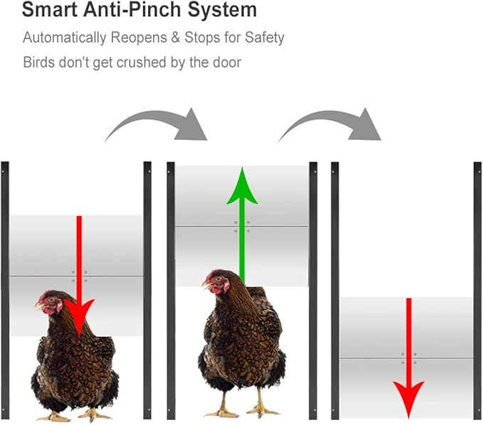 JVR Automatic Chicken Coop Door Opener - Image 2