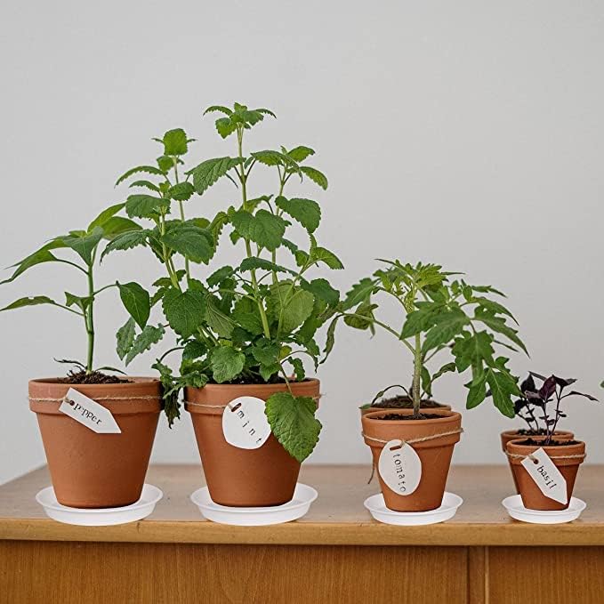 2 Pack of 8 inch Plant Saucer Clear, Heavy Duty Plastic Plant Water Tray 8 inch - Image 4