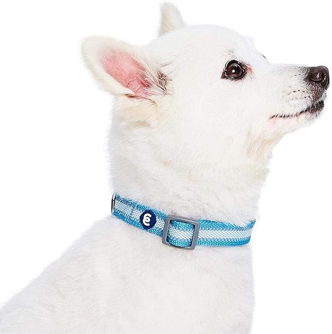 Blueberry Pet Essentials Reflective Dog Collar - Image 4