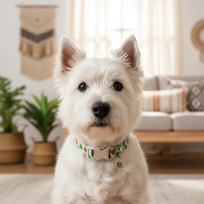 Summer Dog Collar for Medium Dogs, Cute Dog Collar - Image 8