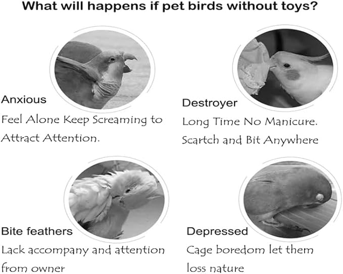 Colorful Bird Xylophone Toy Interactive Training Toy Bird Cage Bell Toy - Image 2