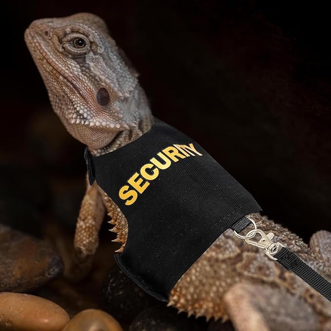 Bearded Dragon Carrier Backpack - Image 5