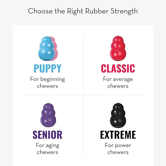 KONG - Puppy Toy Natural Teething Rubber - Fun to Chew, Chase and Fetch - - Image 6