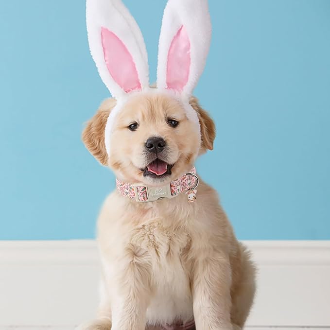 Easter Dog Collar for Large Dogs - Image 3