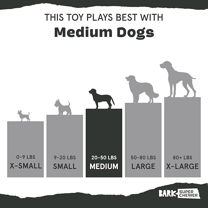 Barkbox Pumpkin Prodigy Dog Toy | Treat-Dispensing Rubber Dog Toy - Image 5
