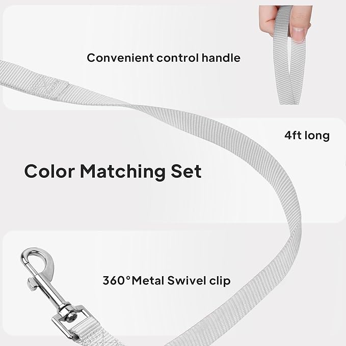 PetiFine Step in Small Dog Harness and Leash Set, Breathable All Weather Air - Image 6
