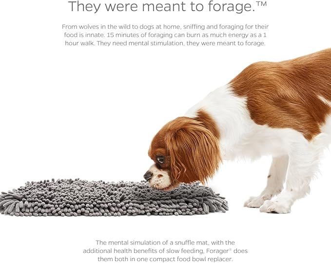 Pet Parents Forager Mats & Slow Feeder Dog Bowl - Image 4