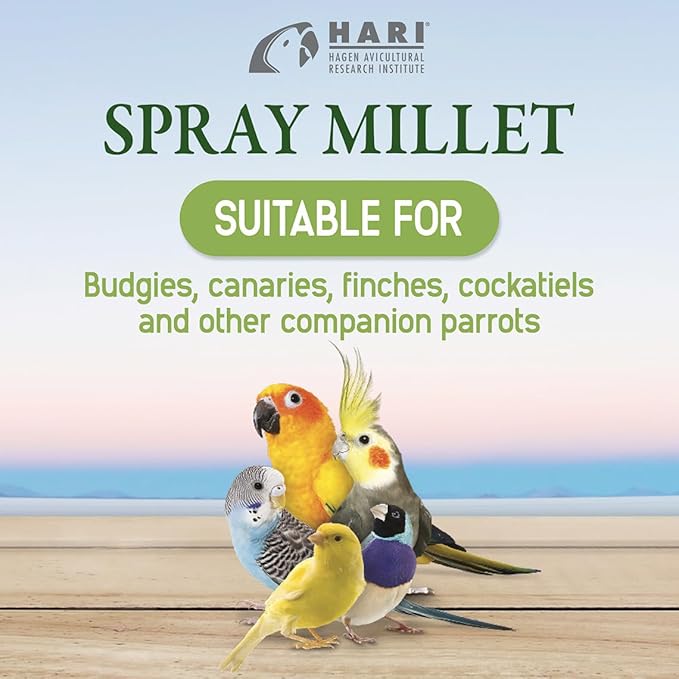 Living World – Millet Spray for Birds, 7 Oz – Premium Treat for Budgies - Image 9