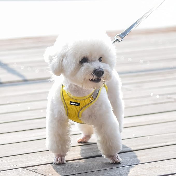 AIITLE Dog Harness, No-Pull Cat Harness - Image 9