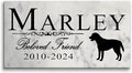 Broad Bay Dog Memorial Stone Personalized Marker Outdoor Garden Choose Your by BroadBayPersonalizedGifts