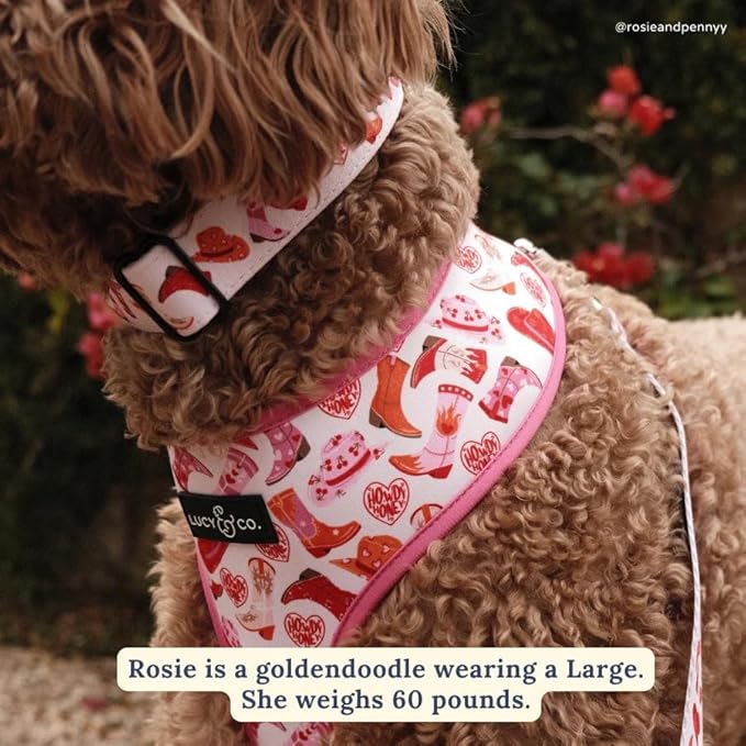 Lucy & Co. Dog Collar - Image 2