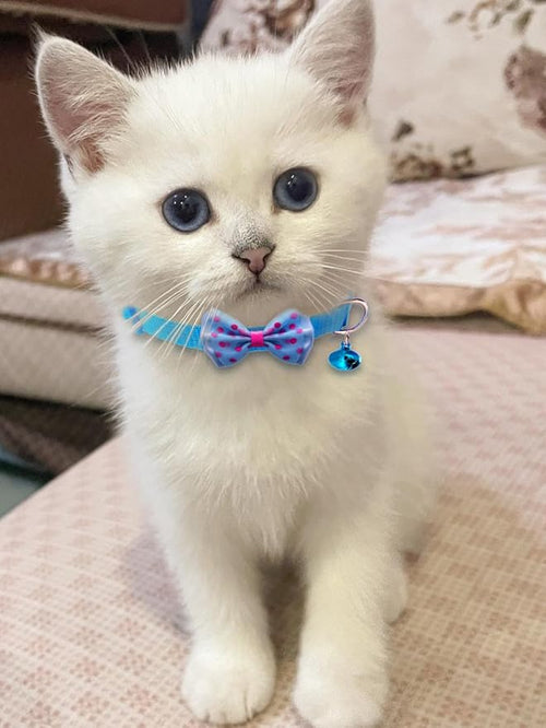 16 PCS Cute Cat Collars with Bells - Image 2