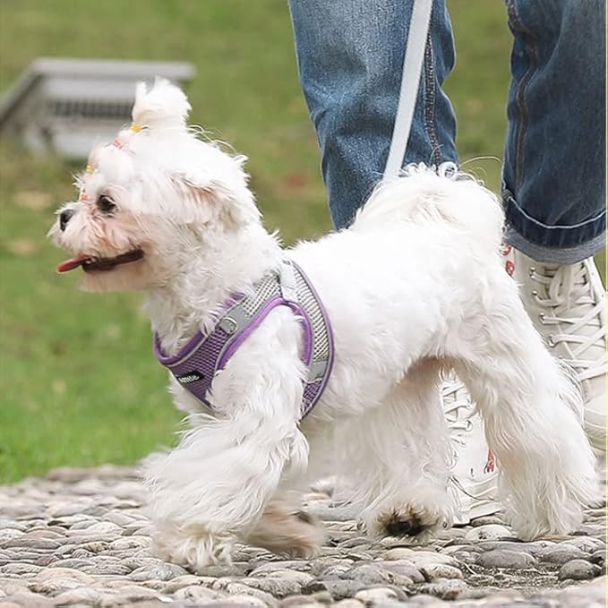 AIITLE Small Harness for Puppy - Image 9