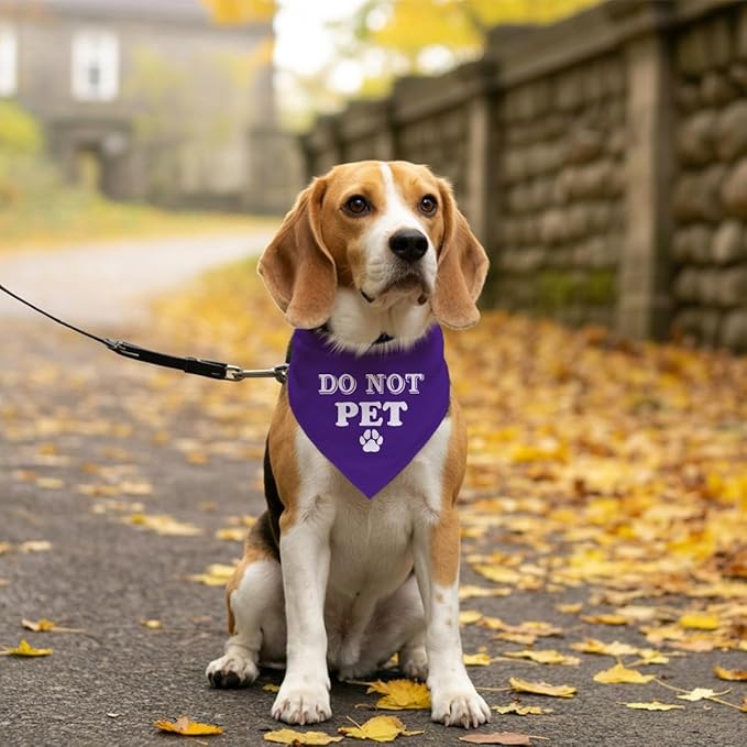 Do Not Pet Dog Bandana, Funny Cute Dog Bandana, Pet Dog Triangle Scarf - Image 5