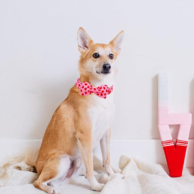 Lionheart Glory Valentine's Day Dog Collar - Image 5