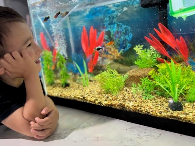 Aquarium Stone for Natural Water Clarification and Odor Removal Featuring - Image 7