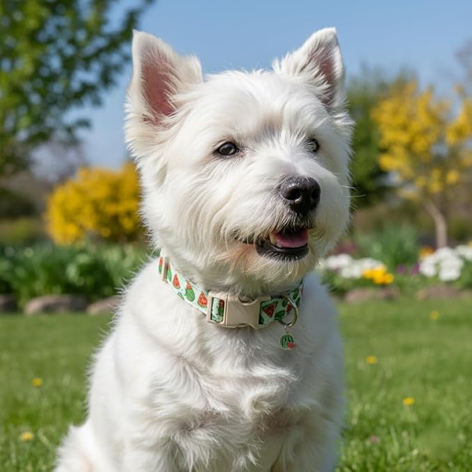 Dog Collar for Small Dogs, Summer Dog Collar - Image 4