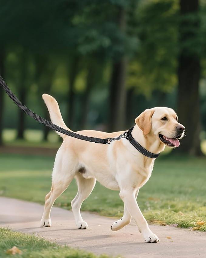 Joytale Large Dog Collar, Reflective and Adjustable Nylon Pet Collar - Image 6