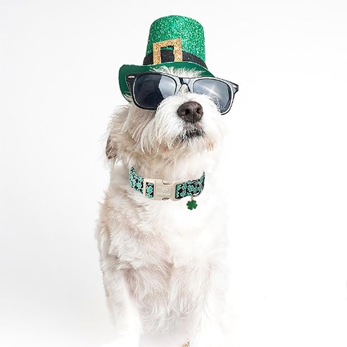 St Patricks Day Dog Collar for Giant Large Dogs - Image 5