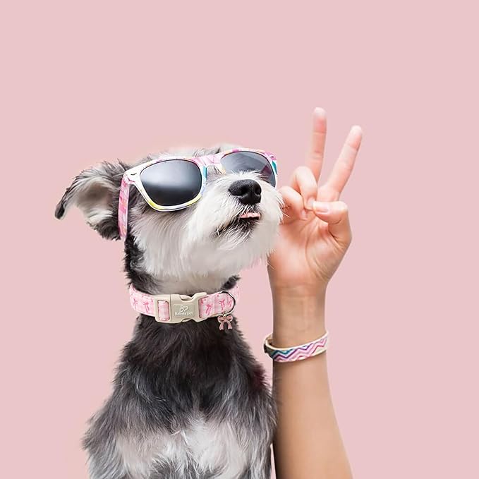 Girl Dog Collar for Giant Large Dogs - Image 6