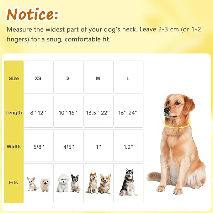 Yellow Dog Collar for Medium Dogs, Spring & Summer Theme Medium Dog Collars - Image 2