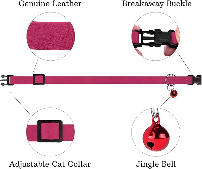 Breakaway Cat Collar Leather - Image 4